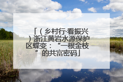 （乡村行·看振兴）浙江黄岩水源保护区蝶变：“一根金枝”的共富密码